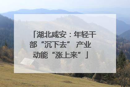 湖北咸安：年轻干部“沉下去” 产业动能“涨上来”