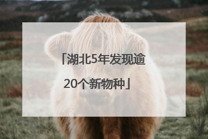 湖北5年发现逾20个新物种