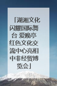 湖湘文化闪耀国际舞台 爱晚亭红色文化交流中心亮相中非经贸博览会
