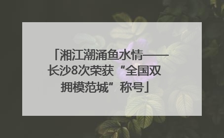 湘江潮涌鱼水情——长沙8次荣获“全国双拥模范城”称号