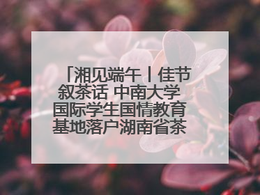 湘见端午丨佳节叙茶话 中南大学国际学生国情教育基地落户湖南省茶叶博物馆