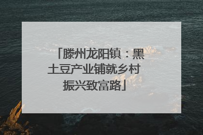 滕州龙阳镇：黑土豆产业铺就乡村振兴致富路