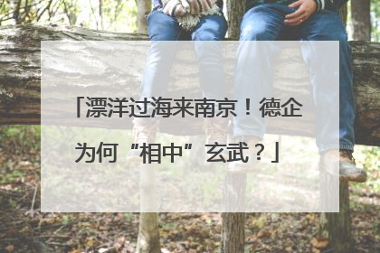 漂洋过海来南京！德企为何“相中”玄武？