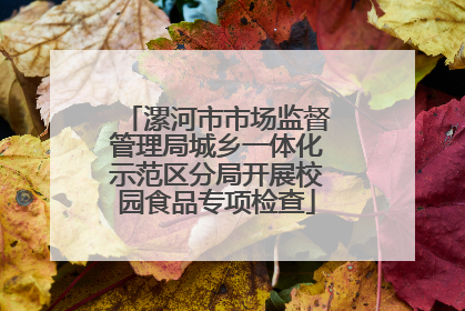 漯河市市场监督管理局城乡一体化示范区分局开展校园食品专项检查