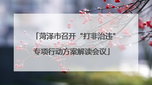 菏泽市召开“打非治违”专项行动方案解读会议