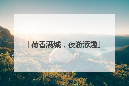 荷香满城，夜游添趣