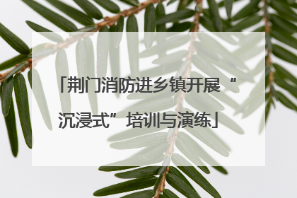 荆门消防进乡镇开展“沉浸式”培训与演练