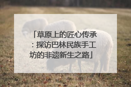 草原上的匠心传承：探访巴林民族手工坊的非遗新生之路