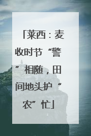 莱西：麦收时节“警”相随，田间地头护“农”忙