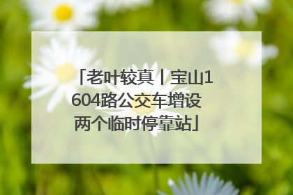 老叶较真丨宝山1604路公交车增设两个临时停靠站