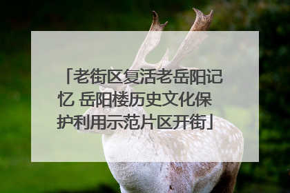 老街区复活老岳阳记忆 岳阳楼历史文化保护利用示范片区开街