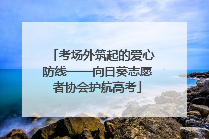 考场外筑起的爱心防线——向日葵志愿者协会护航高考