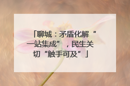 聊城：矛盾化解“一站集成”，民生关切“触手可及”