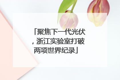 聚焦下一代光伏，浙江实验室打破两项世界纪录