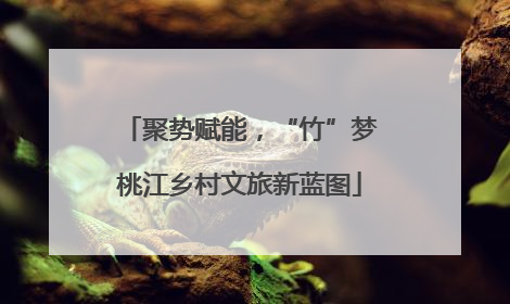 聚势赋能，“竹”梦桃江乡村文旅新蓝图