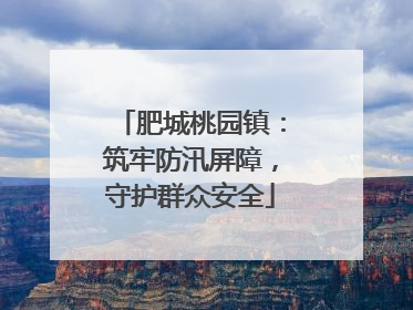 肥城桃园镇：筑牢防汛屏障，守护群众安全