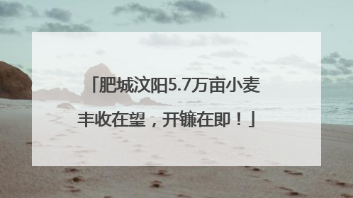 肥城汶阳5.7万亩小麦丰收在望，开镰在即！