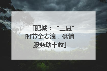 肥城：“三夏”时节金麦浪，供销服务助丰收