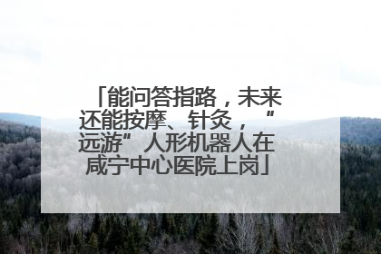 能问答指路，未来还能按摩、针灸，“远游”人形机器人在咸宁中心医院上岗