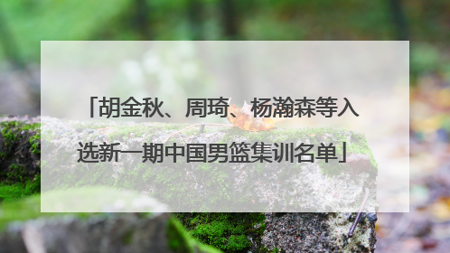 胡金秋、周琦、杨瀚森等入选新一期中国男篮集训名单