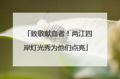致敬献血者！两江四岸灯光秀为他们点亮