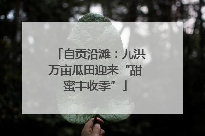 自贡沿滩：九洪万亩瓜田迎来“甜蜜丰收季”