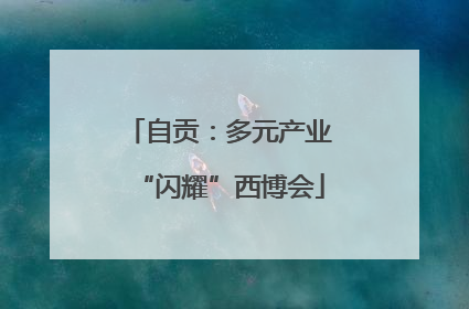 自贡：多元产业“闪耀”西博会