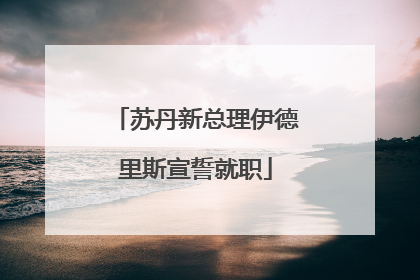 苏丹新总理伊德里斯宣誓就职