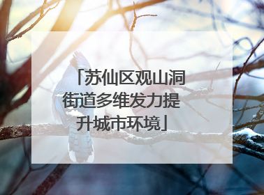 苏仙区观山洞街道多维发力提升城市环境