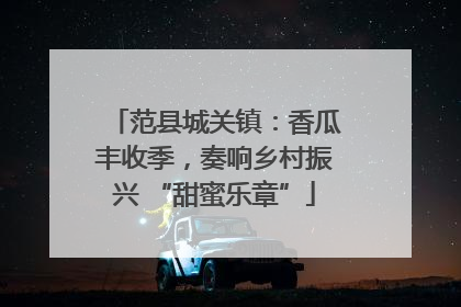 范县城关镇：香瓜丰收季，奏响乡村振兴 “甜蜜乐章”