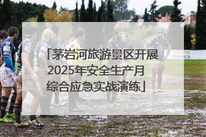 茅岩河旅游景区开展2025年安全生产月综合应急实战演练