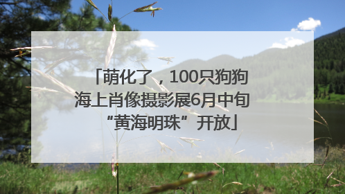 萌化了，100只狗狗海上肖像摄影展6月中旬“黄海明珠”开放