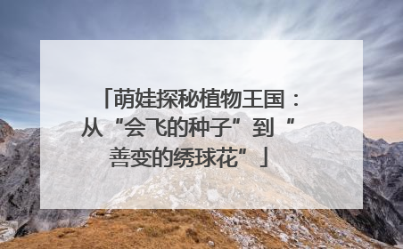 萌娃探秘植物王国：从“会飞的种子”到“善变的绣球花”