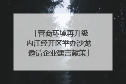 营商环境再升级 内江经开区举办沙龙邀请企业建言献策