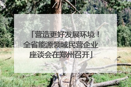 营造更好发展环境！全省能源领域民营企业座谈会在郑州召开