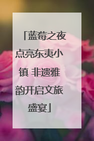 蓝莓之夜点亮东夷小镇 非遗雅韵开启文旅盛宴