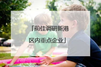 蔺佳调研新港区内重点企业