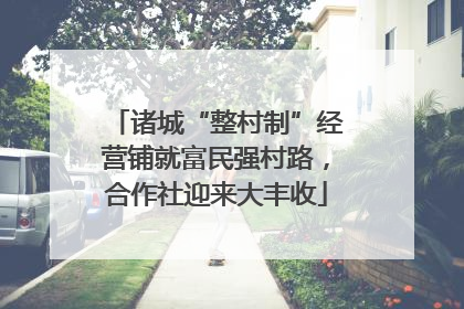 诸城“整村制”经营铺就富民强村路，合作社迎来大丰收