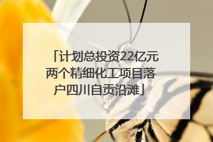 计划总投资22亿元 两个精细化工项目落户四川自贡沿滩