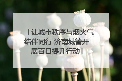 让城市秩序与烟火气结伴同行 济南城管开展百日提升行动