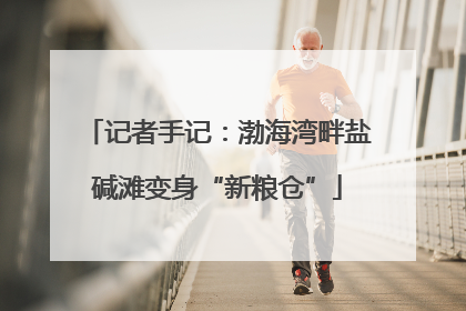 记者手记：渤海湾畔盐碱滩变身“新粮仓”