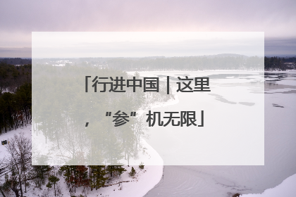 行进中国｜这里，“参”机无限