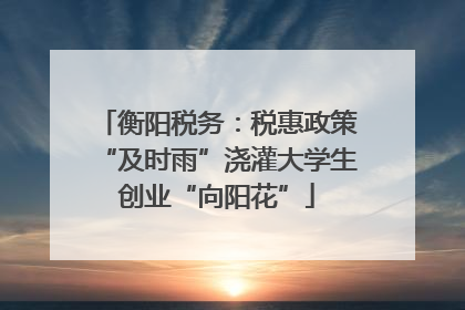 衡阳税务：税惠政策“及时雨”浇灌大学生创业“向阳花”