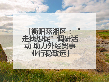 衡阳蒸湘区：“走找想促”调研活动 助力外经贸事业行稳致远