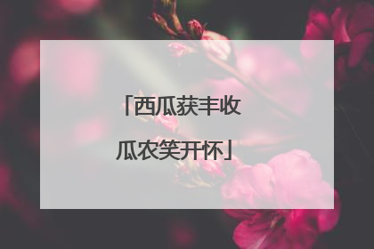 西瓜获丰收 瓜农笑开怀