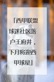 西甲联盟球迷社区落户王府井，下月将迎西甲球星
