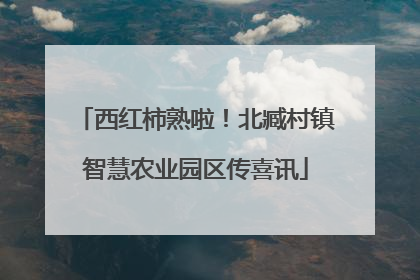 西红柿熟啦！北臧村镇智慧农业园区传喜讯