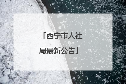 西宁市人社局最新公告