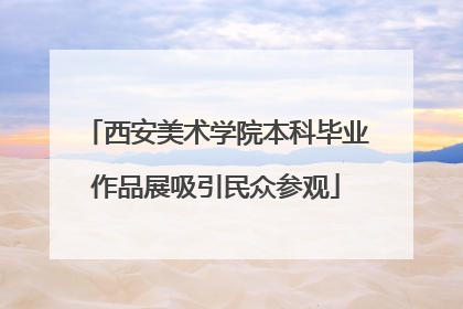 西安美术学院本科毕业作品展吸引民众参观
