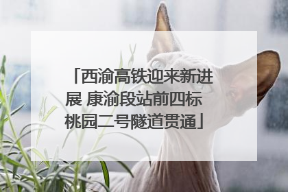 西渝高铁迎来新进展 康渝段站前四标桃园二号隧道贯通